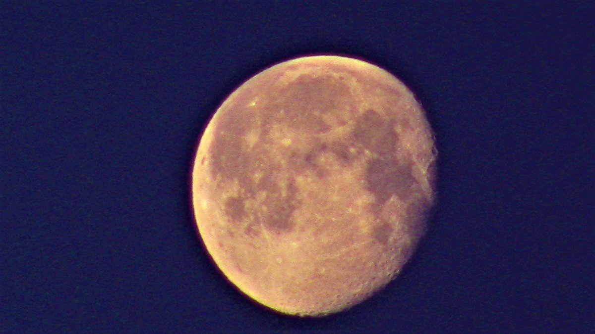 TwisterSeekers's tweet image. The #Moon during #Sunrise this morning View from #QuadCities @weatherchannel @WxLadyKatie @WunderCave #wutv #ilwx @NWSQuadCities @JimCantore