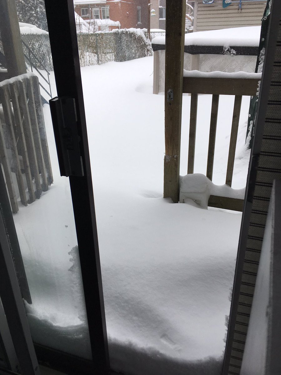 Rox66_RD86's tweet photo. Day off, staying home after the snowstorm...shovelling ahead 🙄 snow's still falling 😭
#backyard #frontstep #mycar https://t.co/7oJRJ3DmEQ