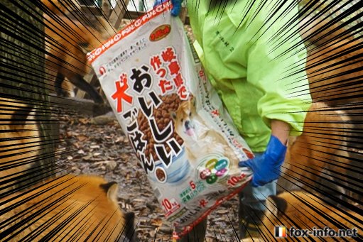 fox_info_net's tweet photo. キツネのエサの時間だ～！

＿人人人人人人人人人人＿
＞　おいしい犬ごはん　＜
￣Y^Y^Y^Y^Y^Y^Y^Y^Y￣ https://t.co/XX7PsKl5fs