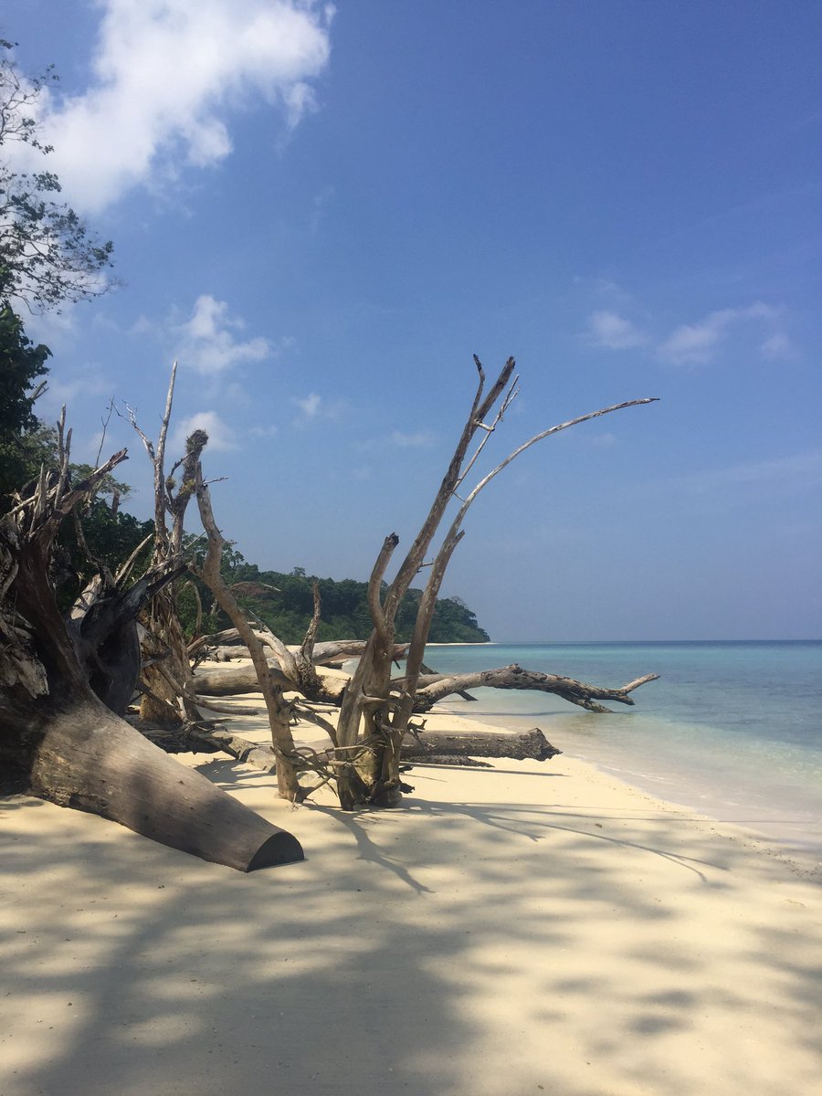 Turtle bay #havelock #andamans