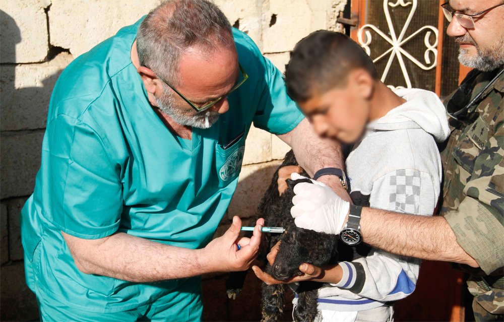 Profesores de Veterinaria colaboran con el contingente español en #Libano en una campaña con los ganaderos locales. ejercito.mde.es/noticias/2017/…