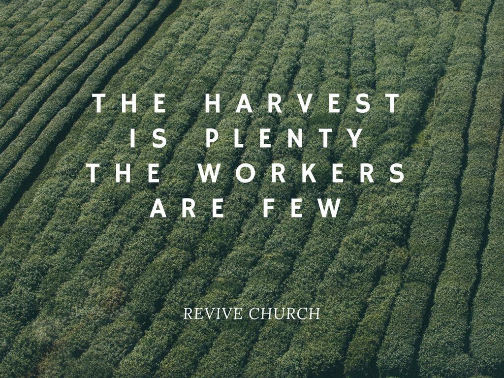 TheReviveChurch's tweet photo. Are you willing? 
#ReviveChurch #TruthMinistries https://t.co/lk84gyvJUF