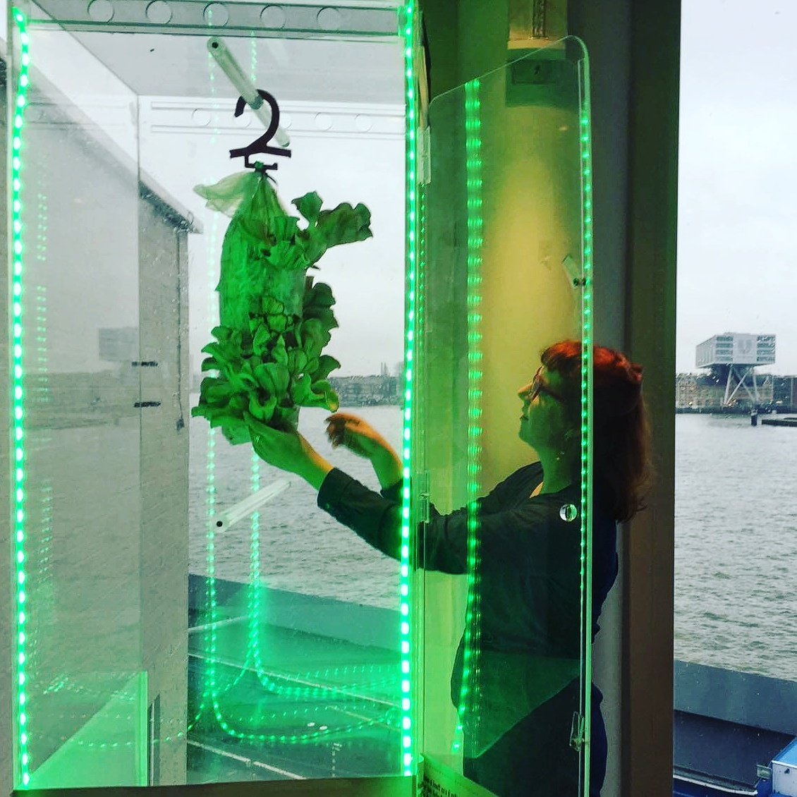 BlueCity010's tweet image. Bitterballen van zwammen ipv vlees? Daarmee besparen we 50/90 liter water - per bitterbal! Circulaire catering #BlueCity010 ism @RotterZwam