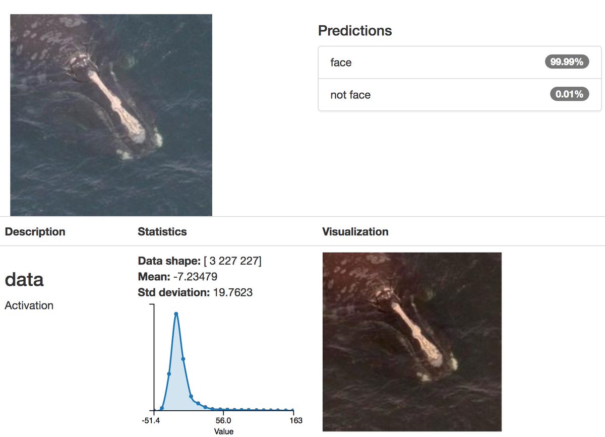 seb_steinke's tweet photo. Hands on: Approaches to Object Detection using DIGITS. Finding whale faces on images.. Yep, that’s a whale! #DeepLearning #NVIDIA #HPCSaudi https://t.co/JE8okAubYl