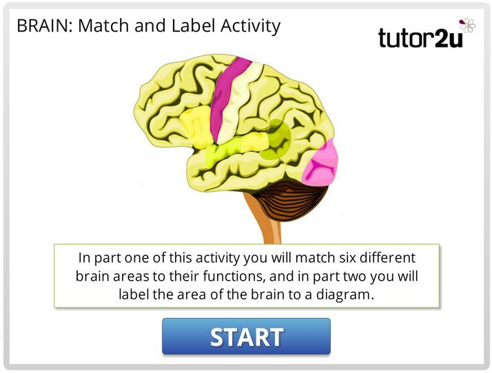 tutor2u Psychology tweet media