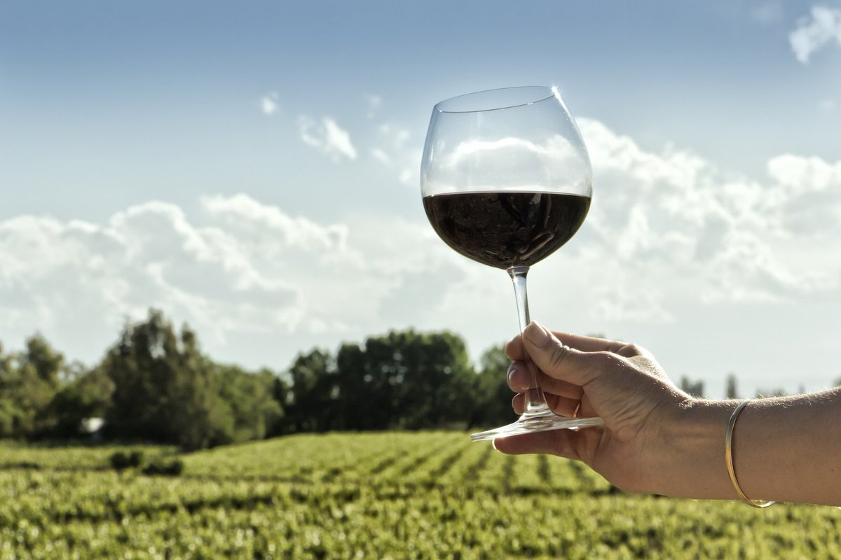 ChevalierWines's tweet photo. "...with macerated dark cherries and cassis infused with fine mineralite." — Neal Martin #burgundy #finewine → https://t.co/oG7twbnVYX https://t.co/T7oZRMfsFl