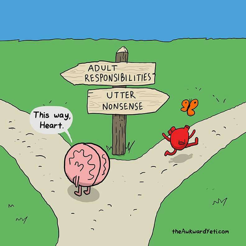 dahlnym's tweet photo. #AdultResponsibilities
vs #UtterNonsense
#AkwardYeti
https://t.co/7zadVav066 https://t.co/aYL4xZ2vd9