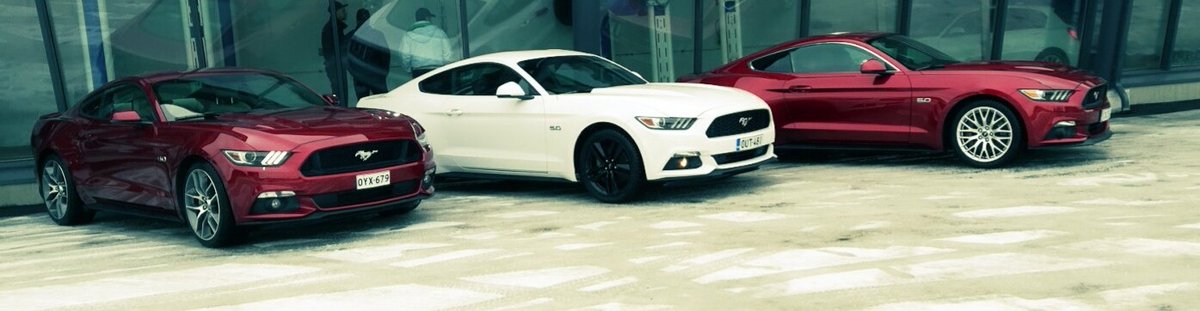 Guilietta__'s tweet photo. Our team in Finland 😎👍 #Mustang #mustang #mustangclub #fastandfurious #ToFastForYou #FordMustang #v8 https://t.co/zgwxKlEq7m