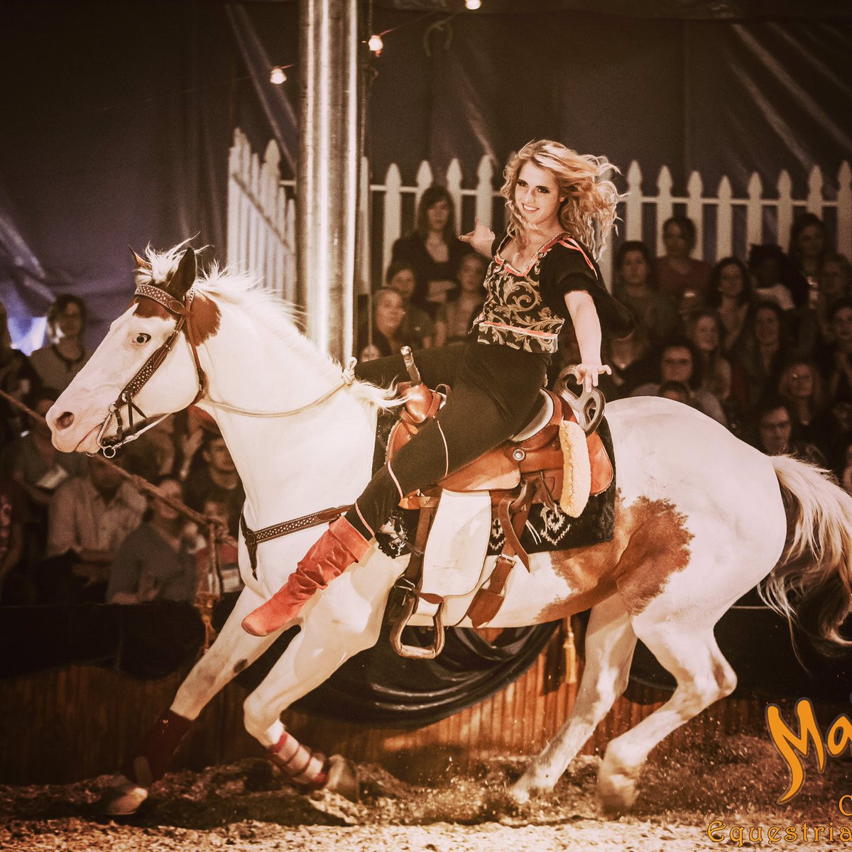 Cavallo EQ Arts tweet media
