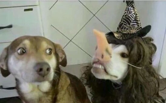 SeuQuaIquer's tweet photo. quando seu amigo tem problemas mentais https://t.co/ffSZ6hixl3