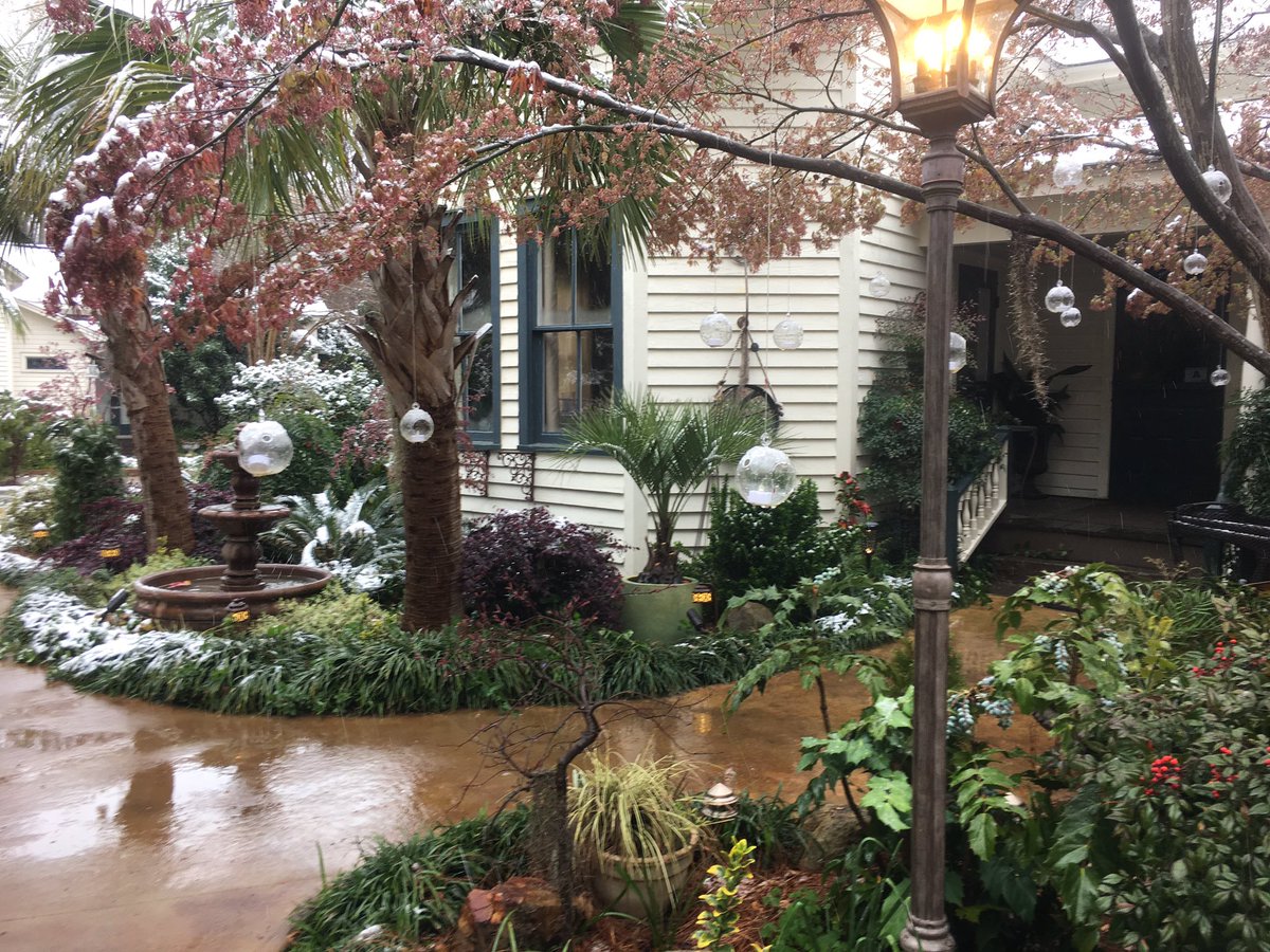 River Road Jasmine (Riverrdjasmine) Twitter