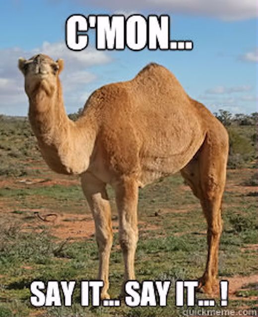 #HumpDayHappiness