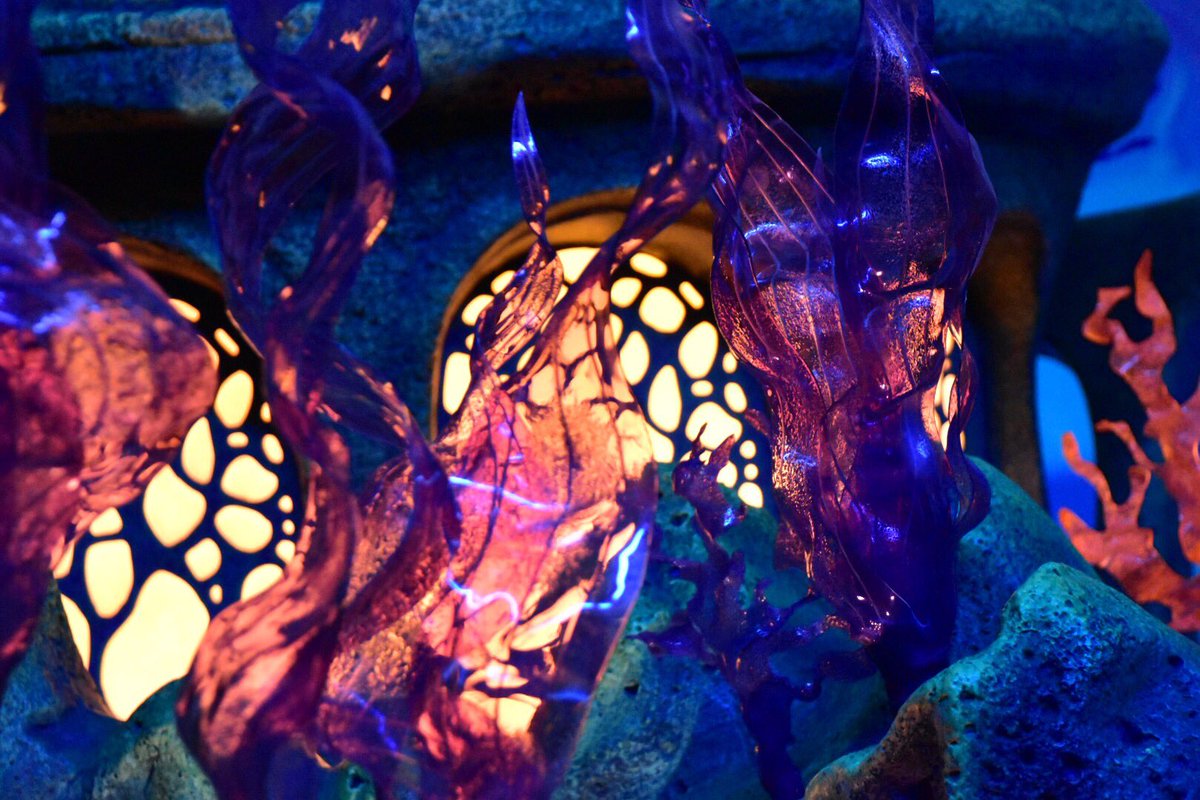 611y_k's tweet photo. 楽しいが詰まってました🌏🐠✨

#photography #coregraphy #disneysea #disneysea15th #Nikon #Nikon18-135 #helios https://t.co/CyLP0bgbze