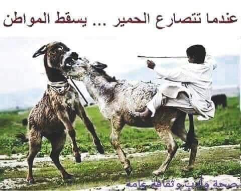 اذا تصارع برلمان نسقط  😂