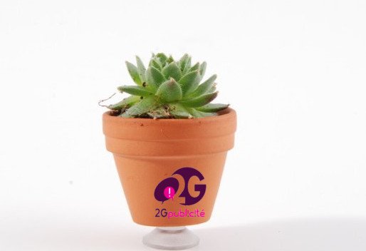 2gPublicite's tweet photo. Un peu de verdure au bureau ? Pensez à la plante bijou d'ordinateur !
https://t.co/7NNkQIPXRa https://t.co/W2xSP0PuMd