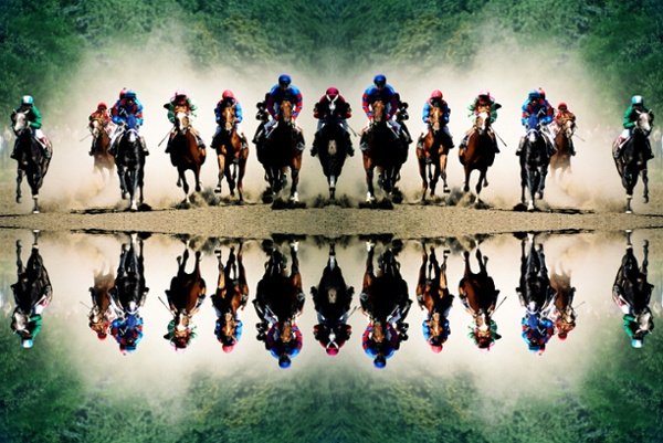 OddsMonkey tweet media