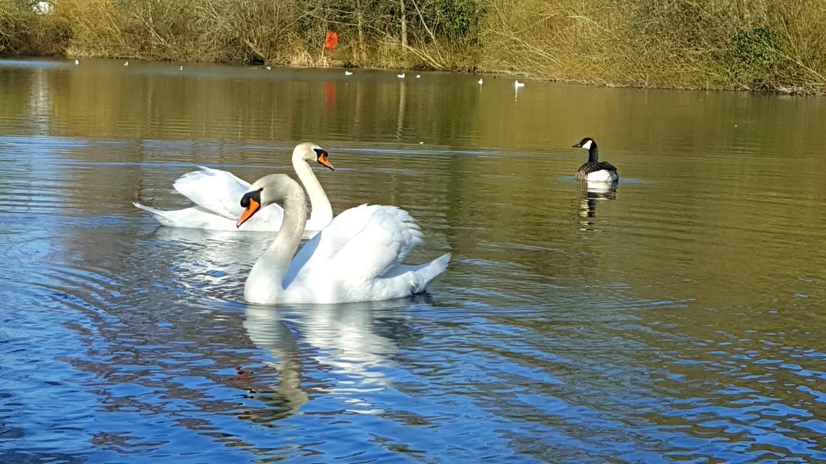 angjeer65's tweet photo. Enjoying the tranquillity at #SingletonLake @AshfordCouncil before #STORMSTELLA. https://t.co/TpXAUhkNKD