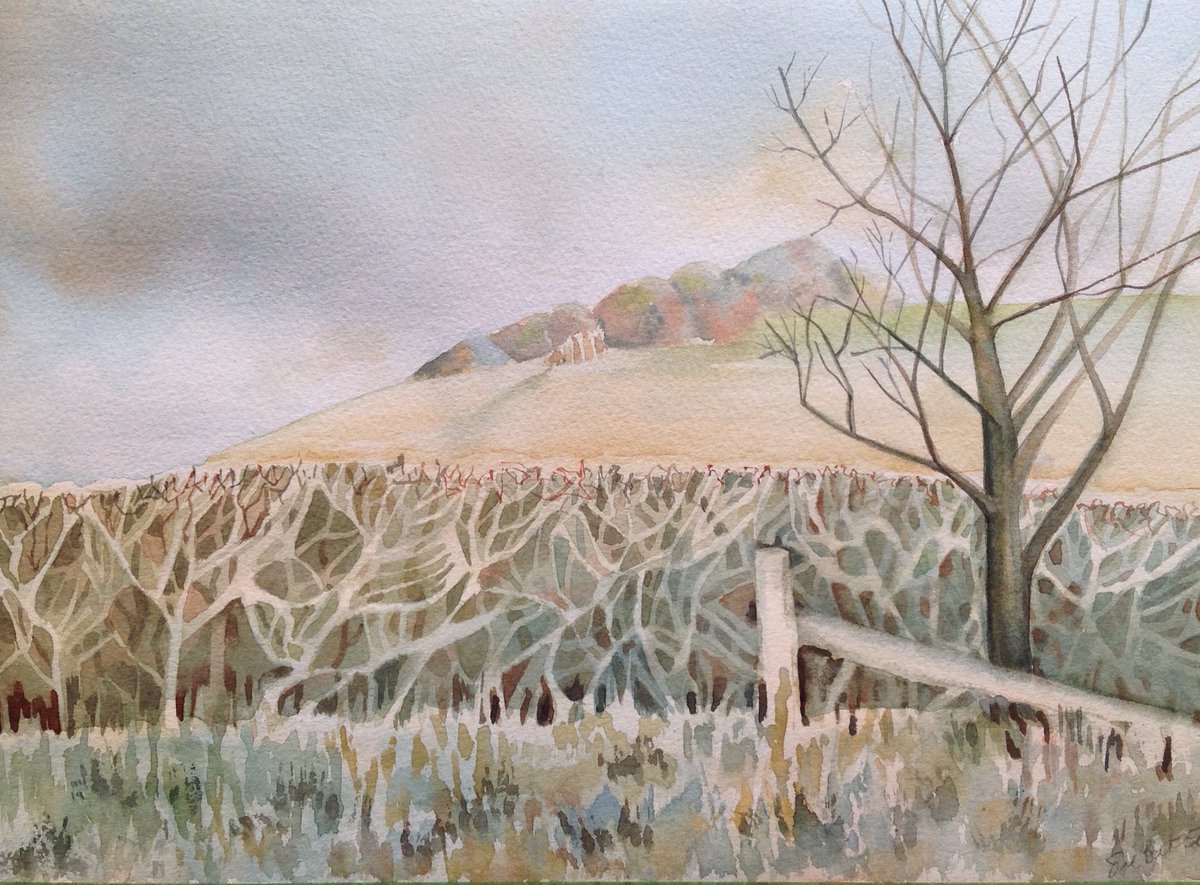Inspired by Paul Nash#TateBritain#watercolour#landscape#trees#hedge#dorset#preston hill
