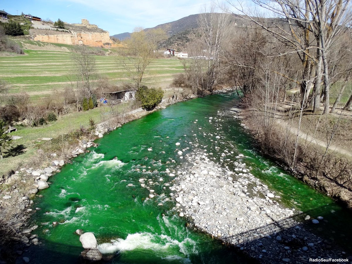 Зеленая вода на улице