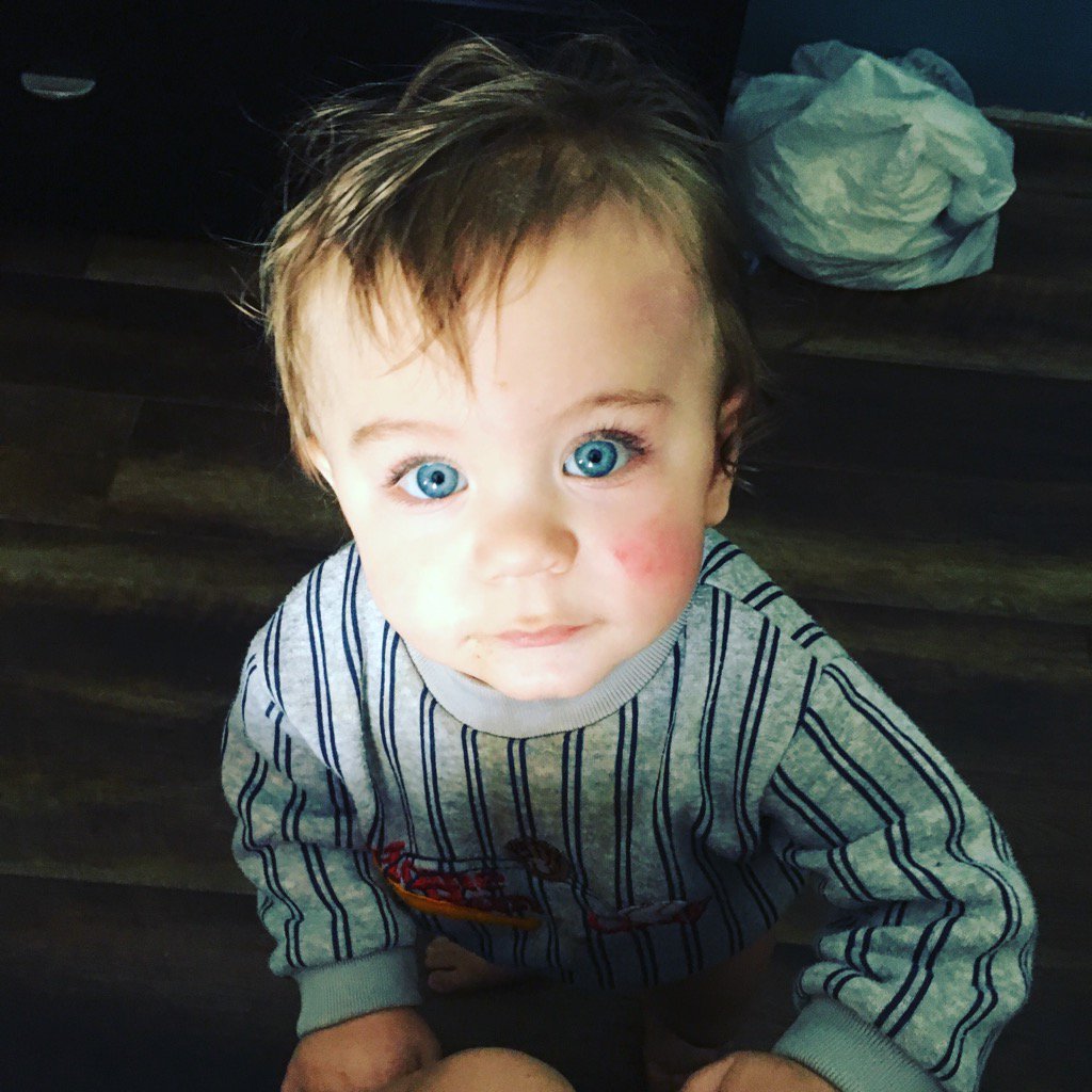 BobDylansWife's tweet photo. Ol' Blue Eyes. 😍💙 #ShadowsInTheNight #FallenAngels #Sinatra #JackFrost #Leonardo https://t.co/30iTF3PSnA