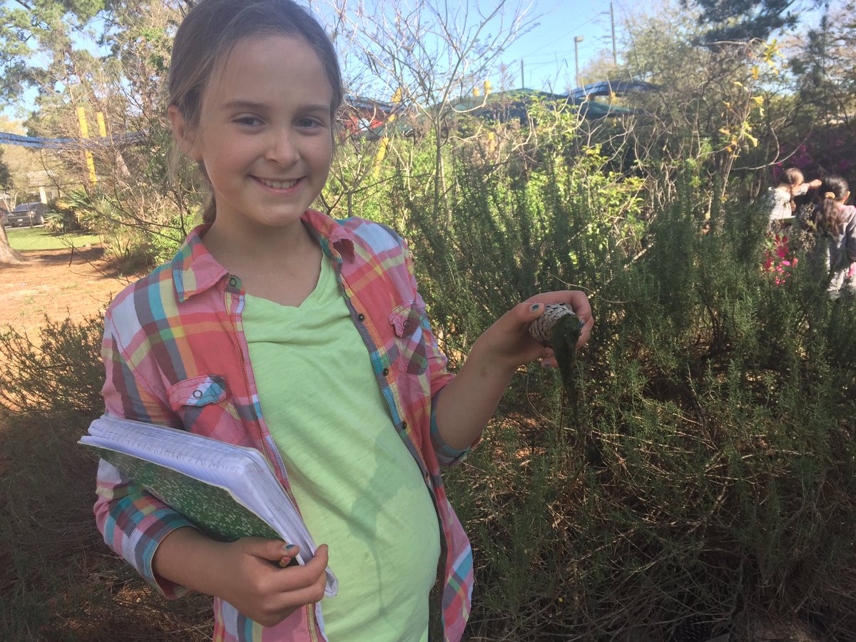 sgarci38's tweet photo. UNIT 11-Ecosystems! Students identifying Producers, Consumers, and Decomposers #OFE https://t.co/GgACXjyP0I