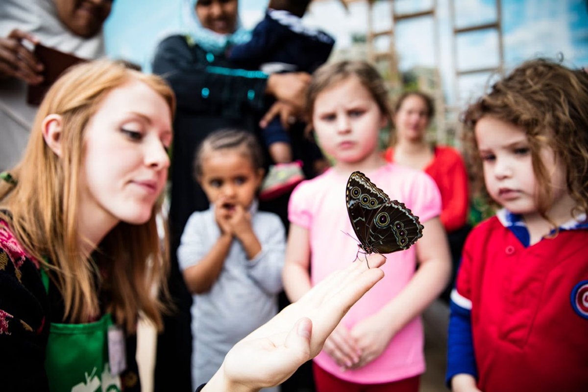 ClassCrasher tweet media