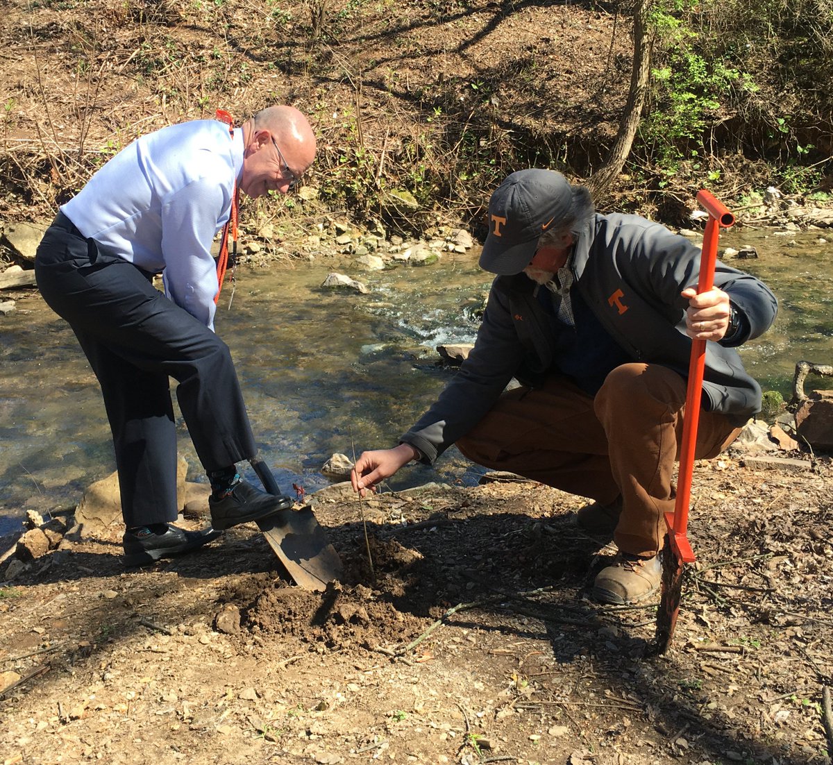 utkfacserv's tweet photo. It's TN Arbor Day &amp; we're planting 1,000 trees on the @UTKnoxville campus! @MakeOrangeGreen 
@TNAgriculture @arborday https://t.co/icQ2eZnRMm