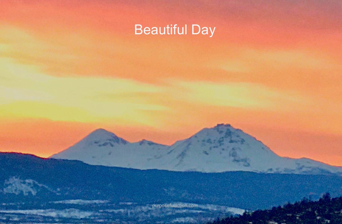 Нина Авдеева on Twitter: