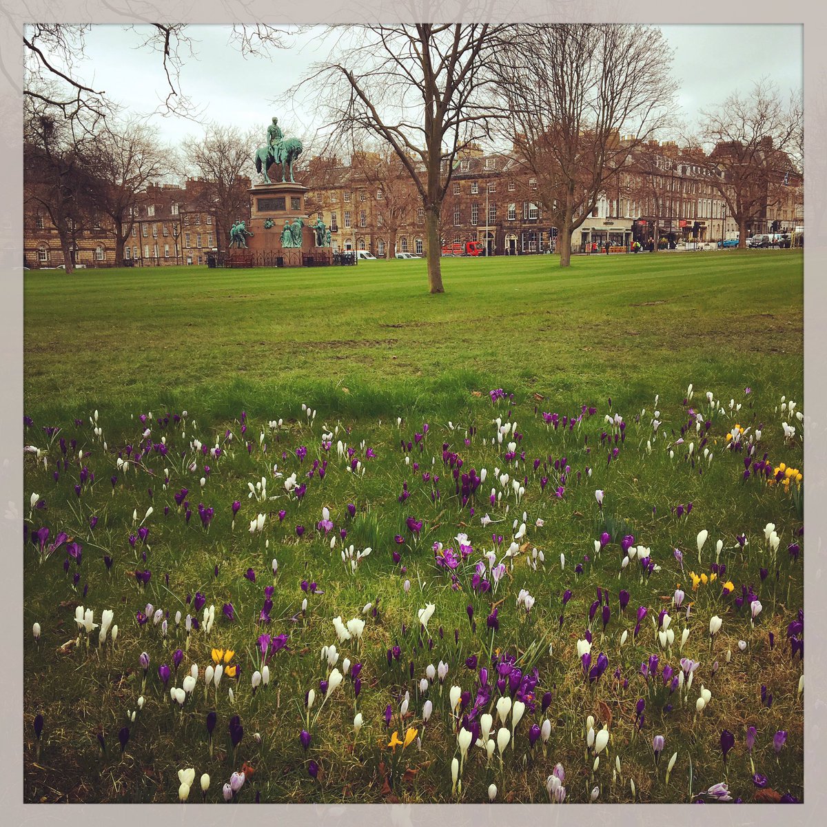 GSAEdin's tweet photo. #Spring bulbs brightening #GeorgeStEdinburgh join us this w'end for #Edinshadows #Lumiere its #FREE 5.30-8.30pm https://t.co/FU4TZ2YHRI https://t.co/nmjJ61pOyy