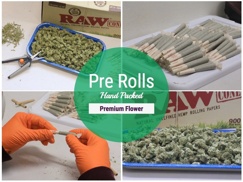 Sow_Canna's tweet photo. Fillin, Packin, and twisting. These Pre Rolls are smooth and have a nice even burn. Only high quality flower i... https://t.co/EVOOSxmOop