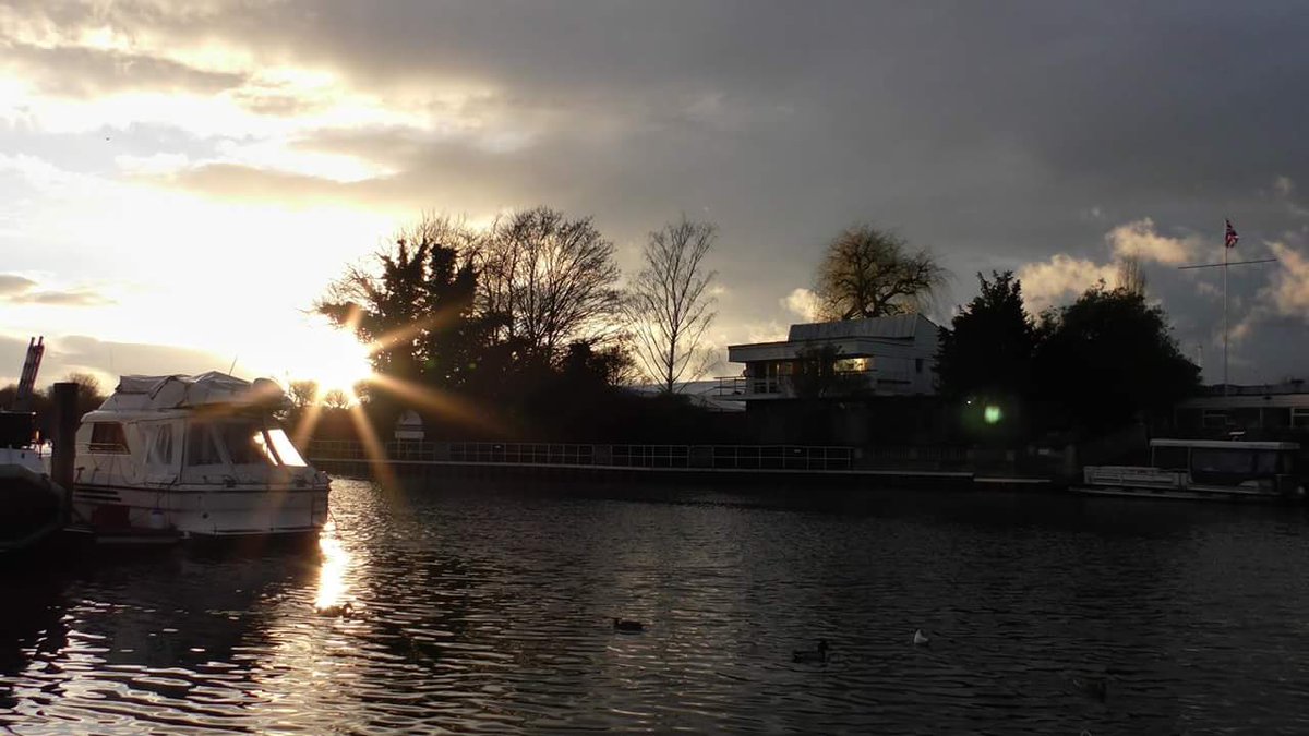 BytesizePlug's tweet image. Swans, pigeons, what has Ed been up to this week? Video and blog live on Workplace and bit.do/edvx870 now!