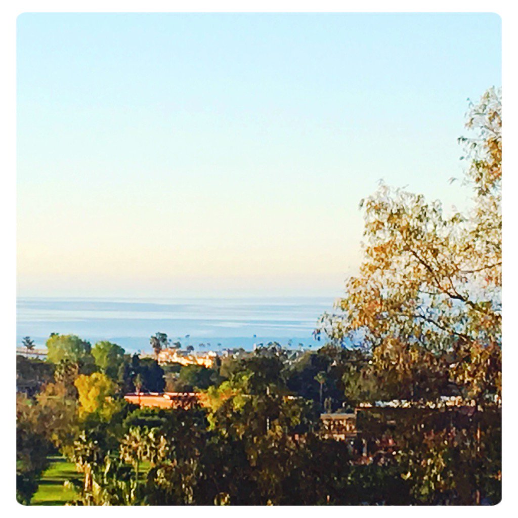 cynthiadunsky's tweet photo. 🌴💕✨Good morning from beautiful Newport Beach! I'm in Love! #findyourfreedom #blissproject #loriharder https://t.co/sO5rcliGuB