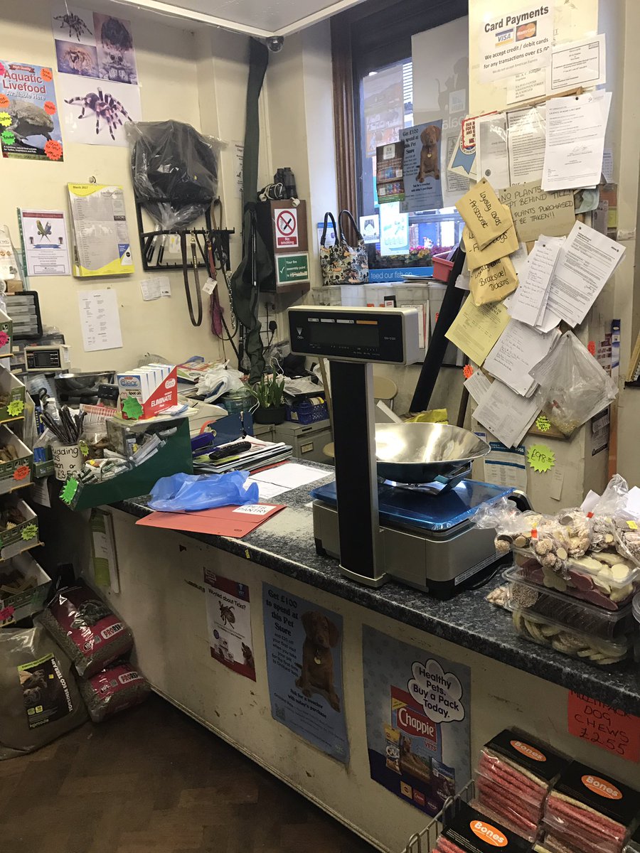 DigiScalesUK's tweet photo. Local pet shop install... #Digi5100 https://t.co/Bdt1FJPPcu