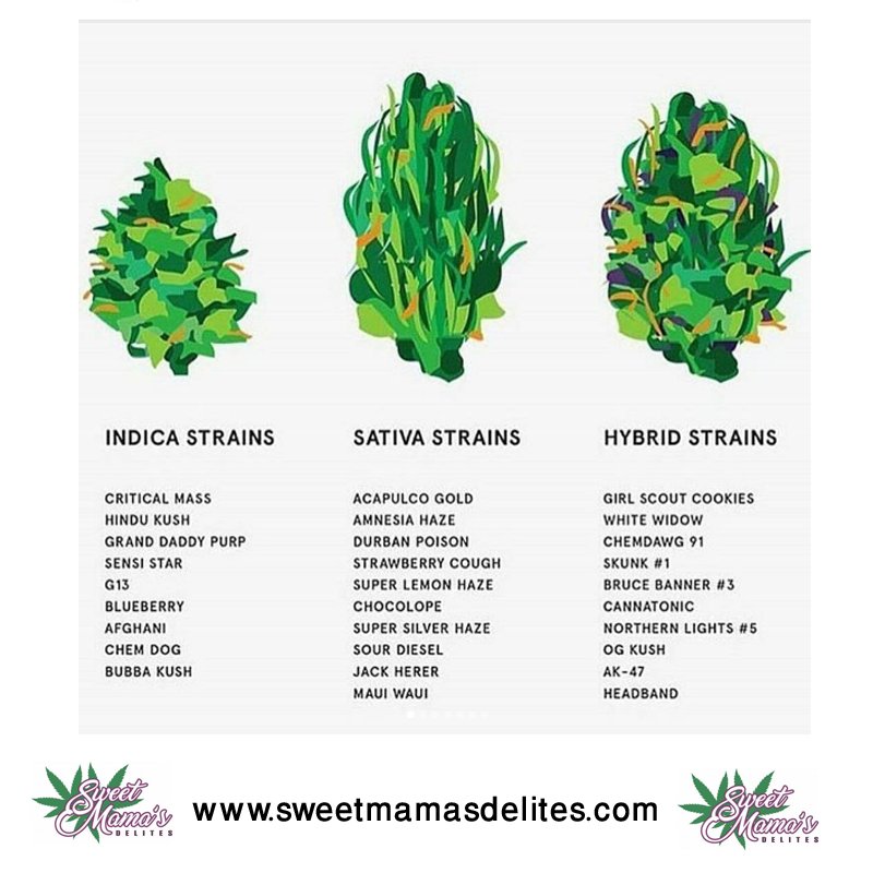 Marijuanaphotos Hashtag On Twitter
