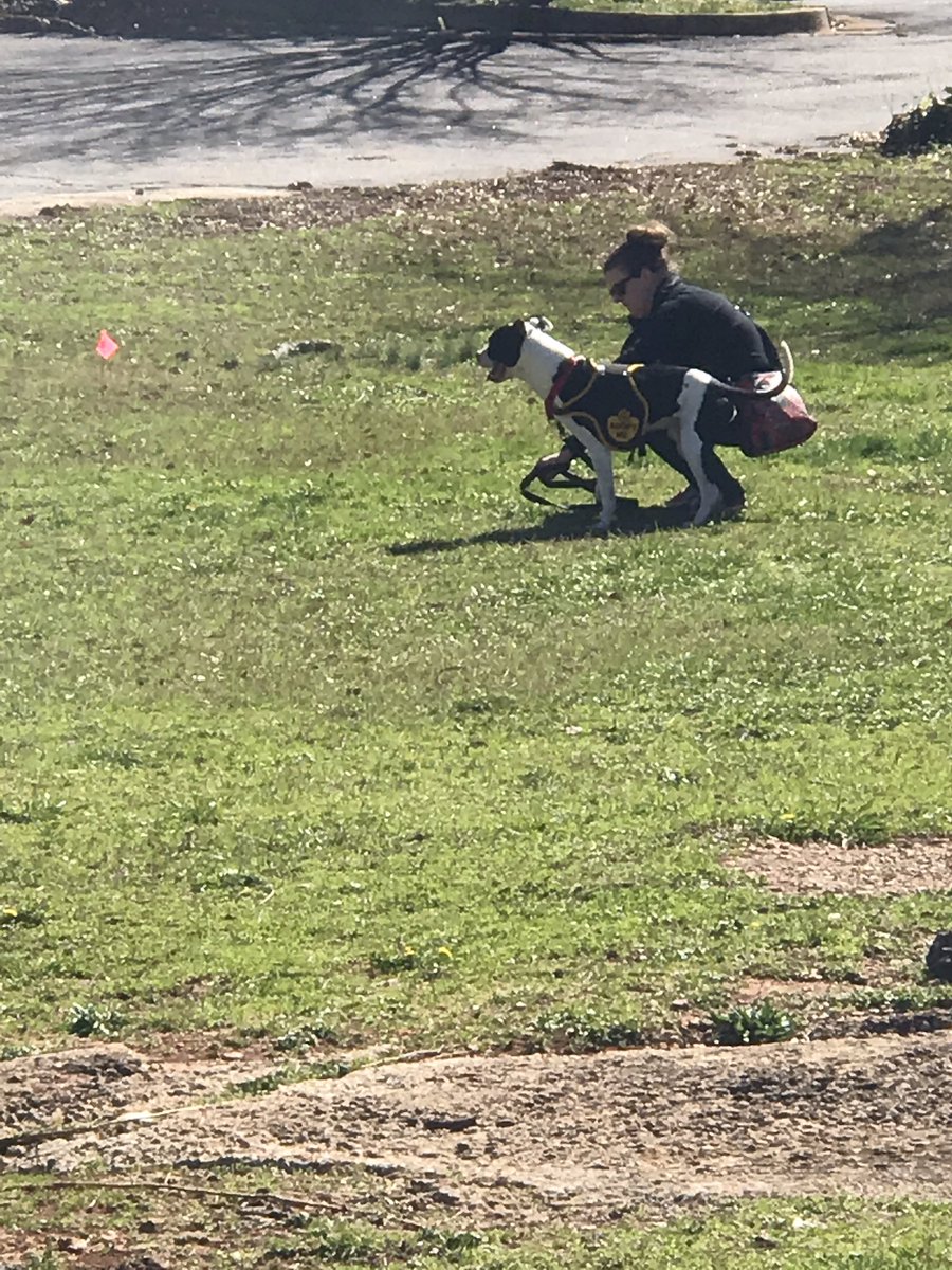 misshobson_'s tweet image. Walking dogs today! #MVInterim #mvcore