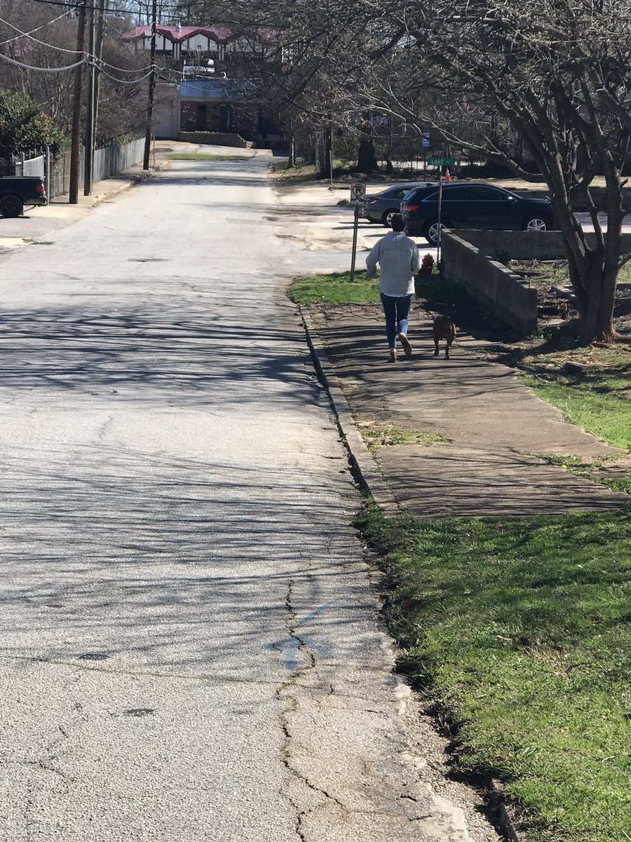 misshobson_'s tweet image. Walking dogs today! #MVInterim #mvcore