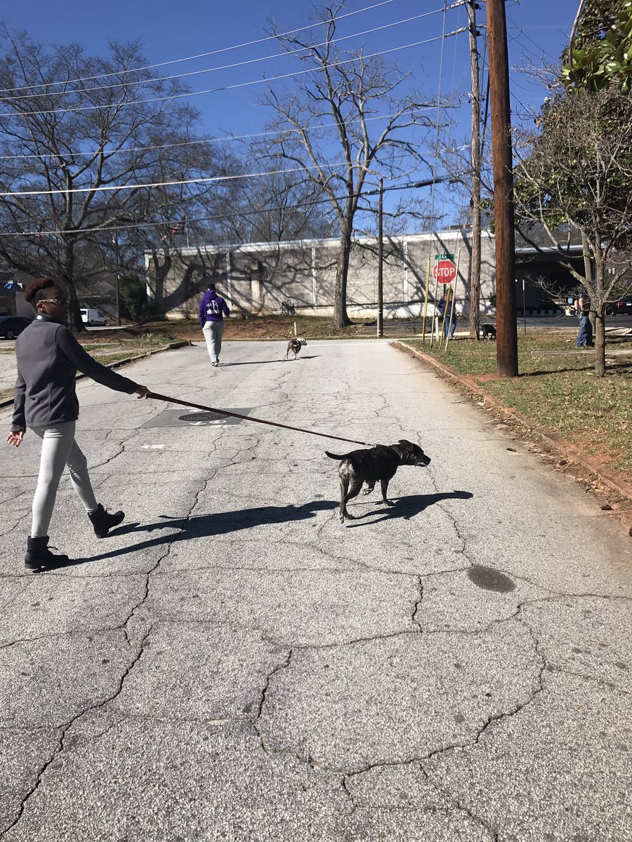 misshobson_'s tweet image. Walking dogs today! #MVInterim #mvcore