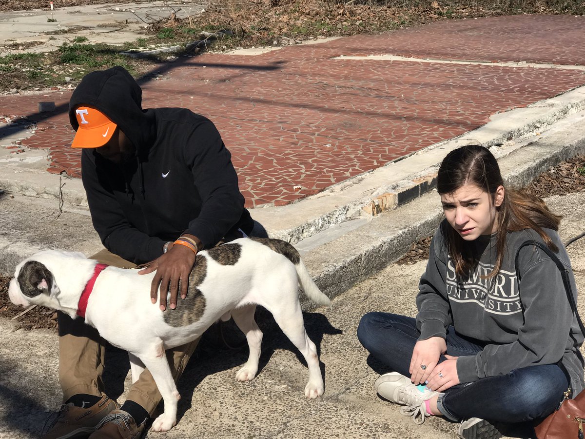 misshobson_'s tweet image. #MVInterim #mvcore @Dont_worrycoach