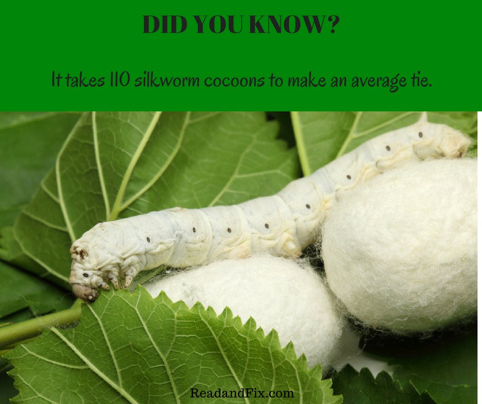 celeb_critics's tweet photo. #DID_YOU_KNOW? #SILK_WORM
#ReadandFix.com https://t.co/g45Sl8QUSb
