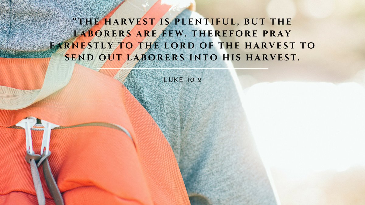 Summer Missionary opportunity (18-25 year olds)! We have two spots open.  Check it out and share with others! ow.ly/oyTF309yBSd