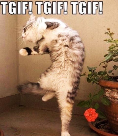 ORRCHIDRAIN's tweet photo. Hey, #GLOBE Did you feel left out? Well stop it! To all the #CoolCatz &amp; #TopDogz the whole world over I❤️U! I will 🗣#fromtherooftop! #TGIF https://t.co/idXQENNwAF