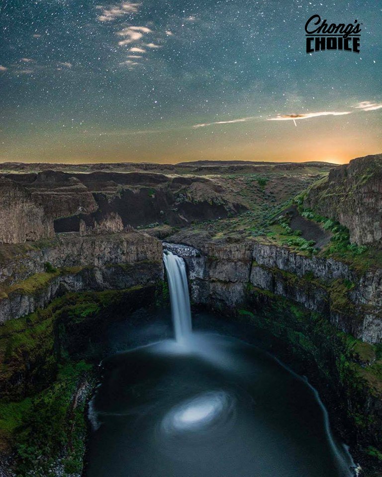 chongschoice's tweet photo. 50 Shades of Wonder.  #ChongsChoice https://t.co/A11Ubd9KxG