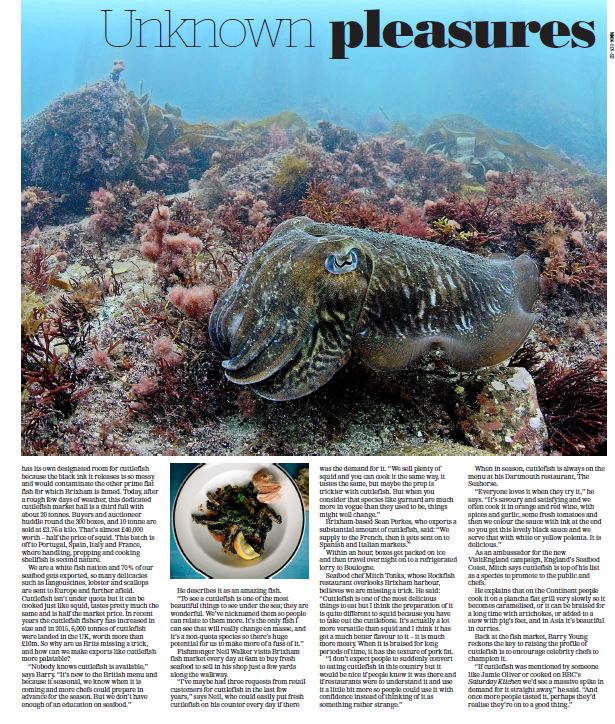 Seafood_Coast's tweet photo. Another great article from @annaturns @WMNNews #SeafoodCoast #BrixhamSquid @bazilyo @FishStock1 @MitchTonks https://t.co/RehWHxJH2i
