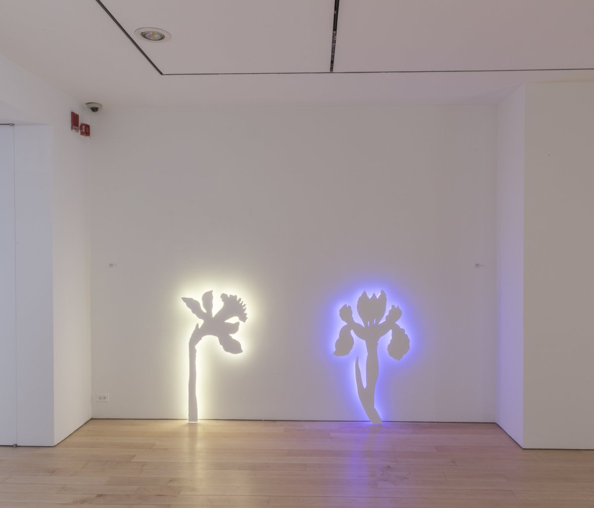 MarlboroughNY's tweet photo. '#LCArmstrong: Signals at Sunset' closes tomorrow, March 4th. https://t.co/FQddQADhuW https://t.co/FrBkuo2IgS