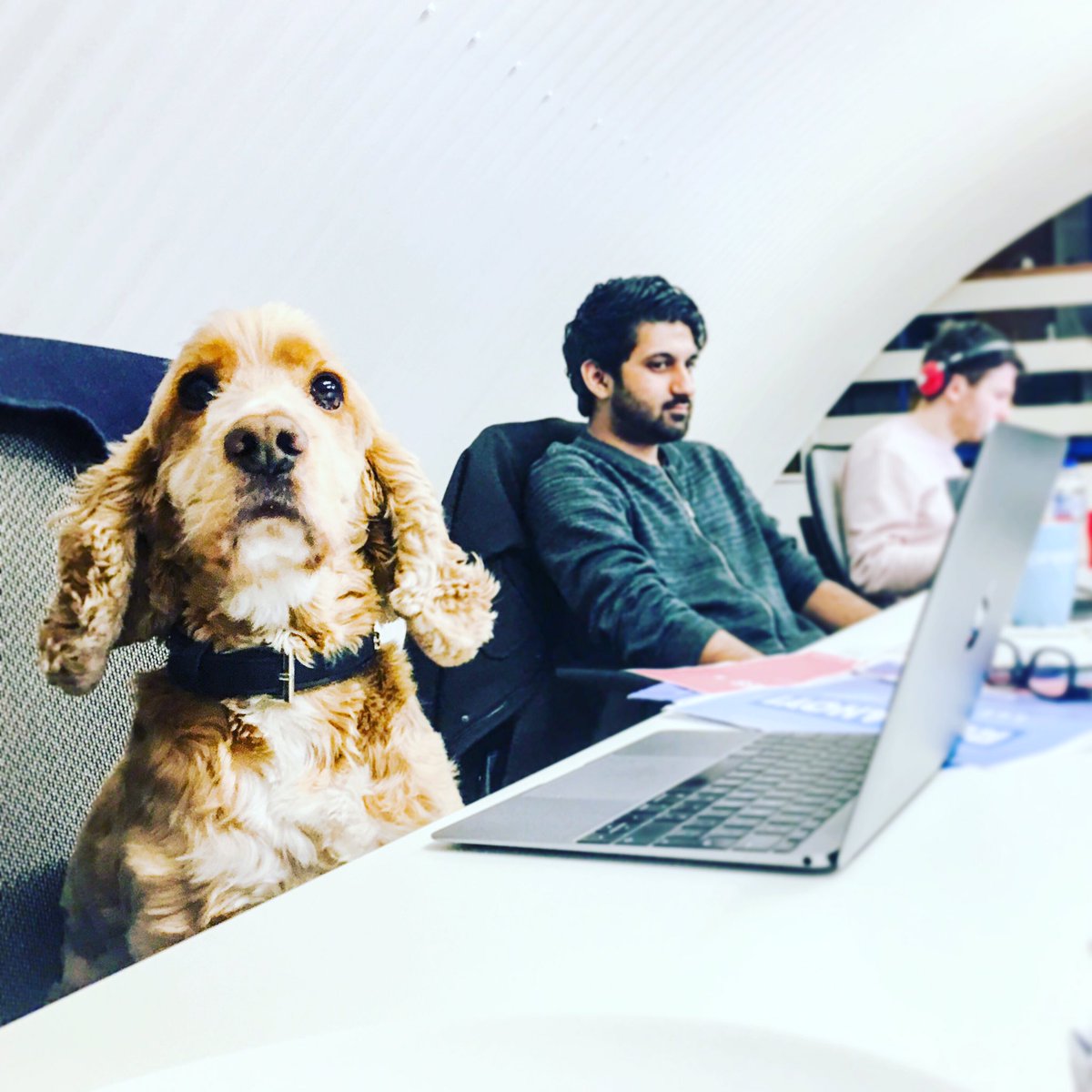 Digital Results tweet media