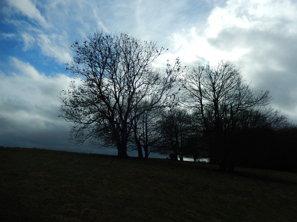 OllyPJ's tweet image. #StormEwan-a-brewin' for the final stretch of our #WhiteHorseTrail adventure.