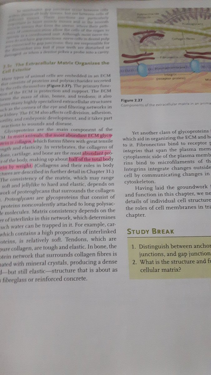 LakeErieLady's tweet image. I have a thumping headache so I thought I&apos;d sit and read for awhile. Nope. #studyfail #biologycourse #gonnatakeanap