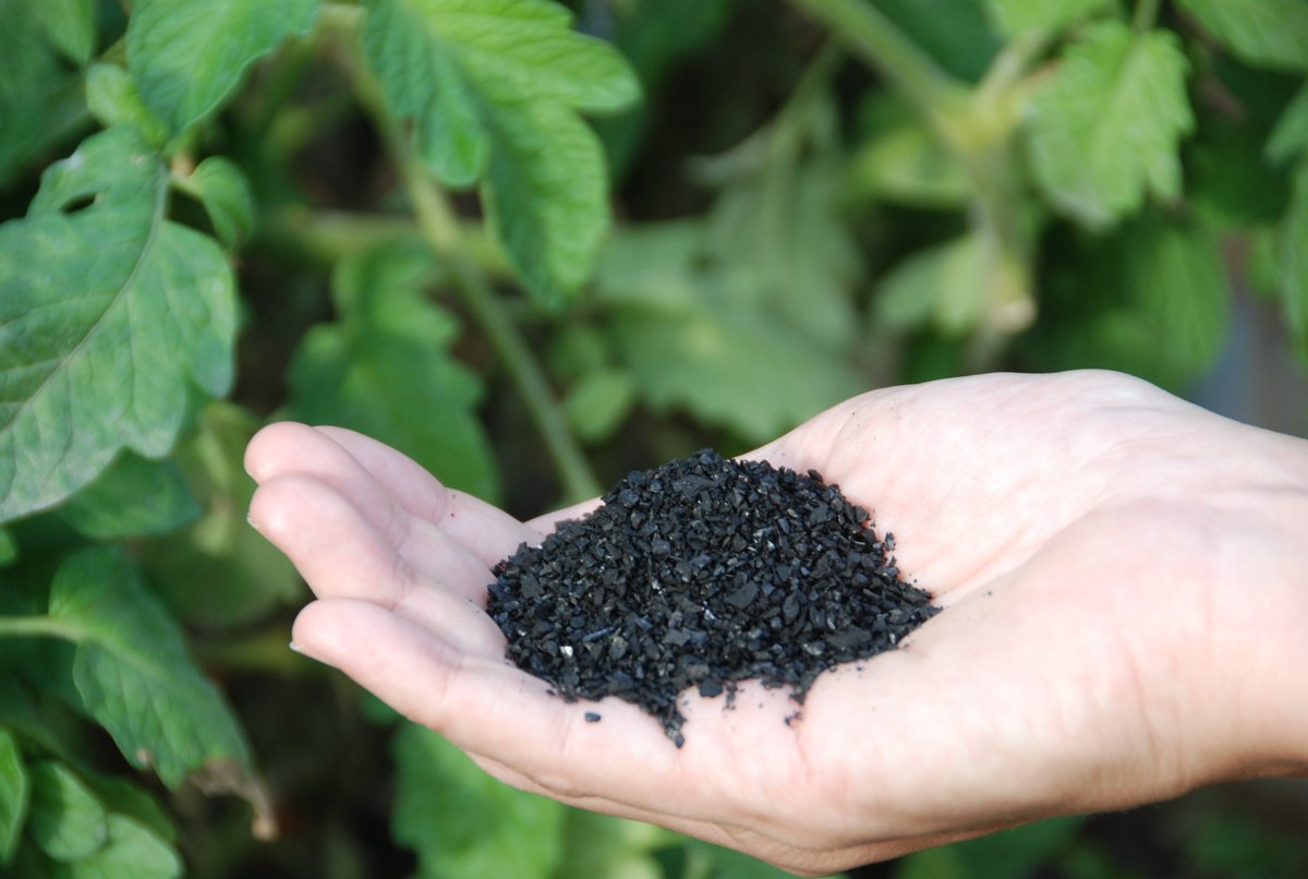 Cool Terra's impact on soil health featured on @AgInfoNet. Check it out here: bit.ly/2mmjRNd