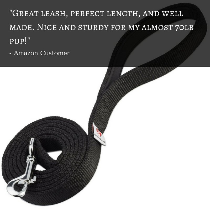 apbprotocol's tweet image. Check this👍  #awesome #DogLeash #Amazon ➡ amzn.to/2mRu9o7 ⬅  #leash @amazon giveaway.amazon.com/p/66eef9c62b0e… #giveaway