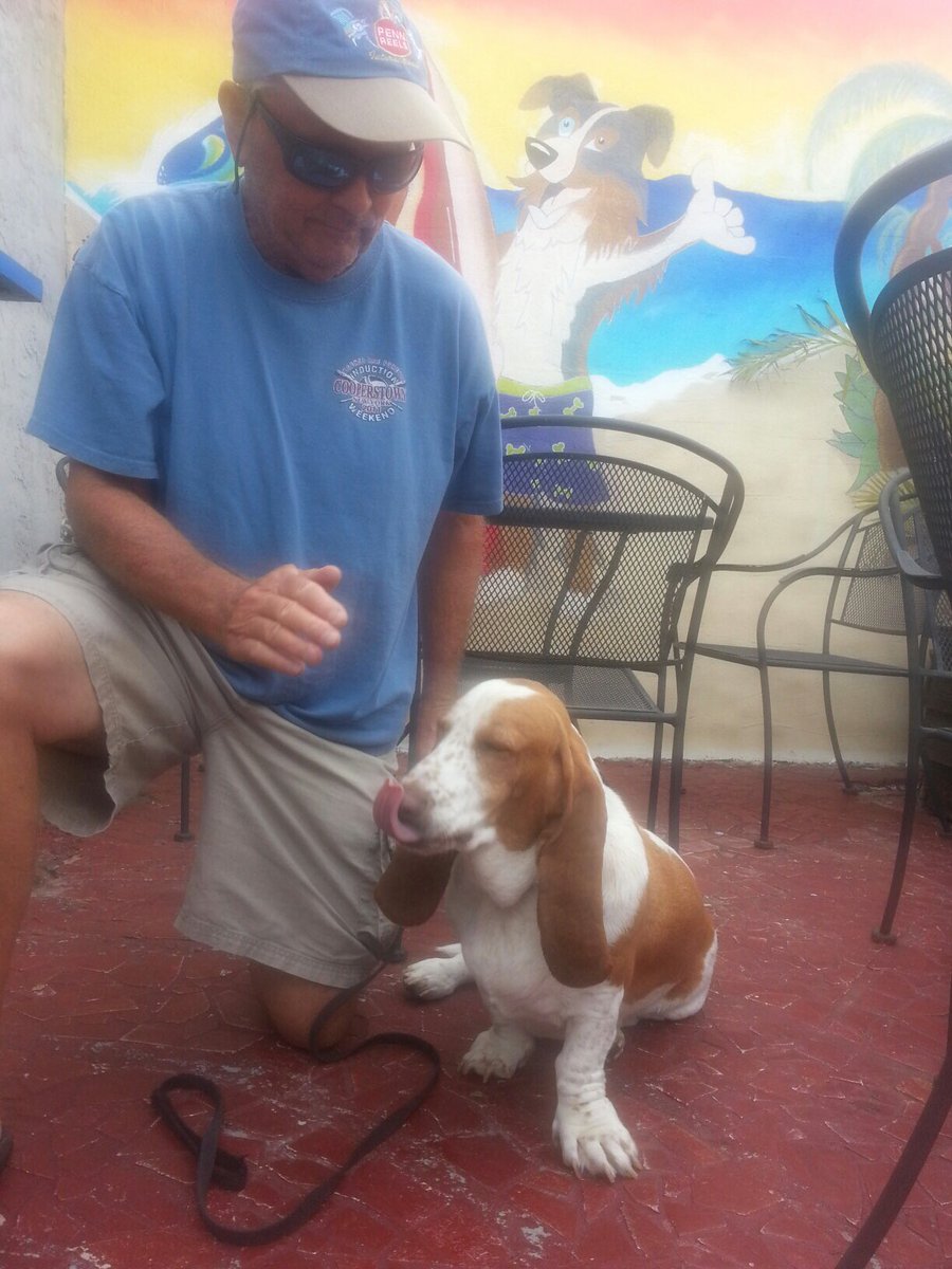 AJPrievo's tweet image. @BeachDogsCB Meet Ginger!  She's a 3yo rescue, replacing the empty spot Truman left after his sad passing.  She LOVES Beach Dogs dog treats!